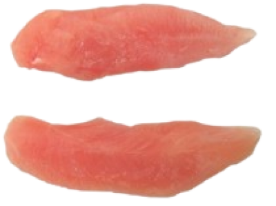 imagem de Sassami